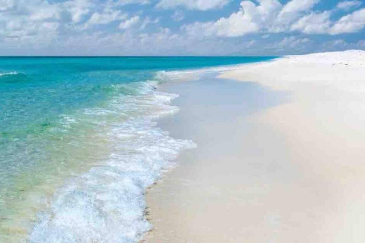 Walk To Downtown Seafood Market Bay Views Pensacola Luaran gambar